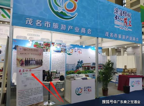 桑盈桑葚红酒闪耀四川文创大会 数字创意赋能文旅新篇章